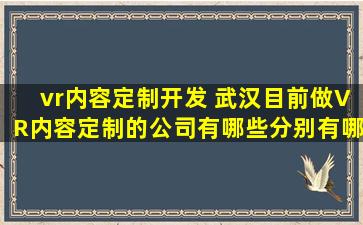 vr内容定制开发 武汉目前做VR内容定制的*有哪些分别有哪些优势